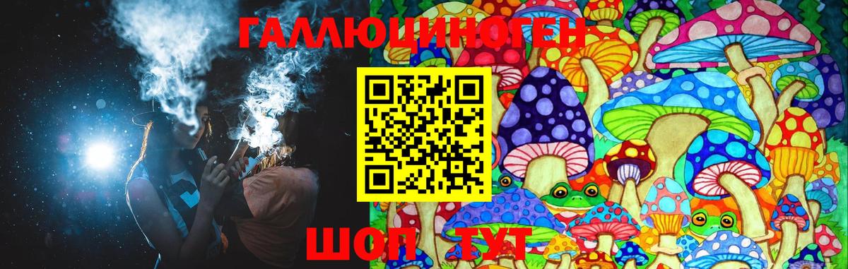 Галлюциногенные грибы Psilocybine cubensis  Вход с VPN  Камышлов  Галлюциногенные грибы мицелий 
